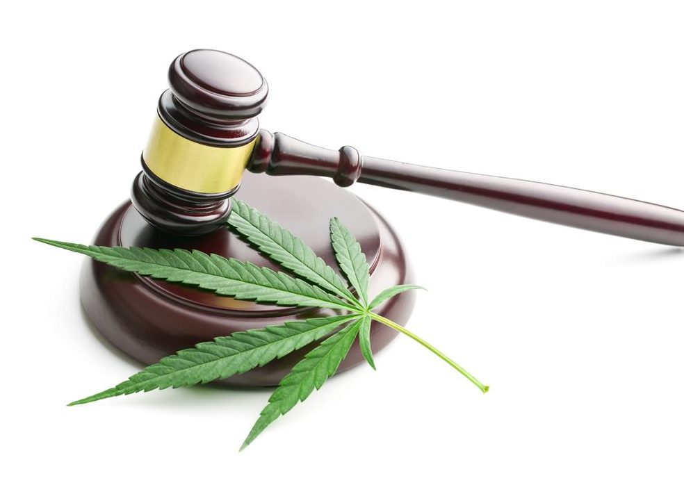 Learn about Cannabis Laws
